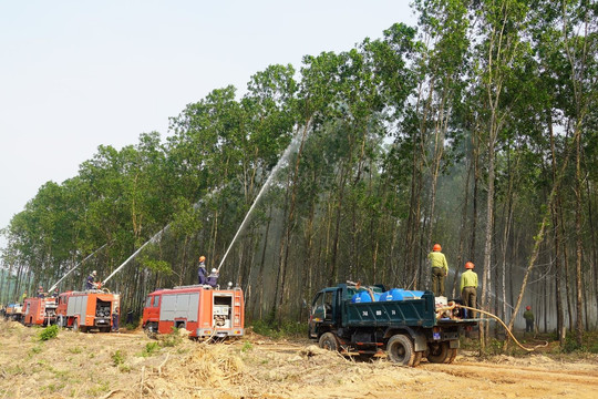 Quảng Trị kiến nghị hỗ trợ hơn 19,6 tỉ đồng để phòng cháy, chữa cháy rừng