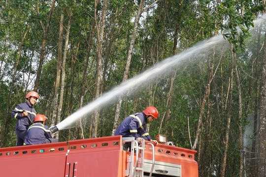 Quảng Nam đề nghị hỗ trợ 25 tỷ đồng phòng cháy chữa cháy rừng