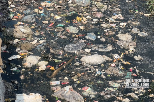 Quốc Oai (Hà Nội): Cần nhanh chóng vào cuộc xử lý tình trạng rác thải “tràn” khỏi bãi rác gây ô nhiễm môi trường