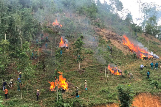 Lào Cai: Tiếp tục tăng cường thực hiện công tác quản lý, bảo vệ rừng và phòng cháy, chữa cháy rừng