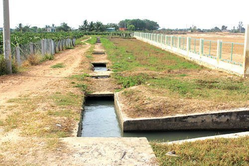 Bình Thuận: Tạm ngưng hoạt động Nhà máy nước Cà Giang do nhiều rong tảo