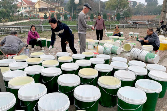 Yên Bái: Tỷ lệ các hộ dân đã tiến hành phân loại rác tại nguồn đạt 95%