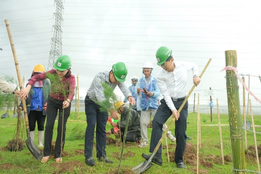 Petrovietnam: Trồng cây xanh là giải pháp quan trọng trong chuyển dịch năng lượng