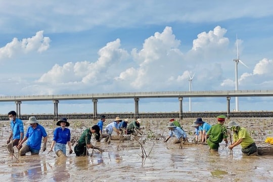 Nâng cao trách nhiệm phát triển rừng ở Sóc Trăng