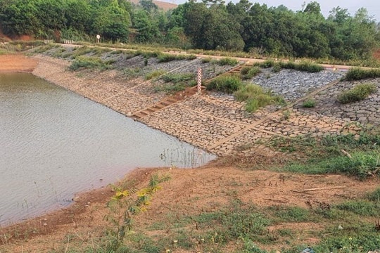 Quảng Ngãi: Hơn 9.000ha đất sản xuất nông nghiệp có nguy cơ bị thiếu nước