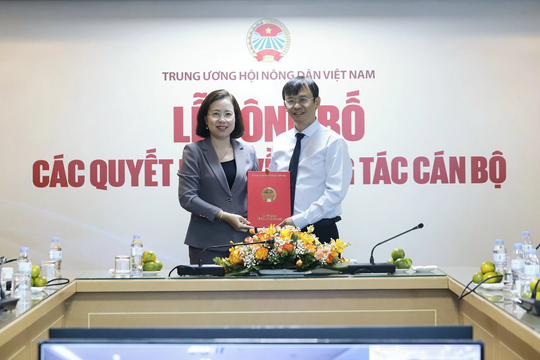 Bổ nhiệm Nhà báo Nguyễn Văn Hoài giữ chức Tổng Biên tập Báo Nông thôn ngày nay/điện tử Dân Việt