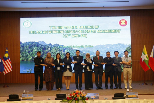 Vì một ASEAN quản lý rừng bền vững