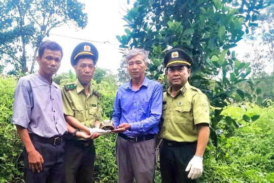 Thừa Thiên - Huế: Người dân tự nguyện giao nộp động vật rừng