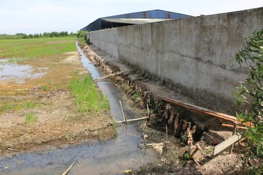Long An: Xả thải ra môi trường, Công ty TNHH An Hưng Nông bị xử phạt 312 triệu đồng