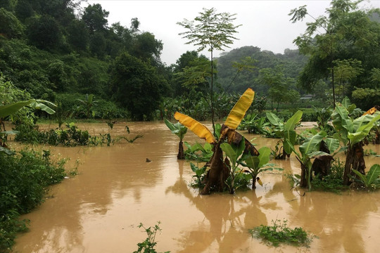 Nhiều tỉnh thành khẩn trương khắc phục hậu quả mưa lũ