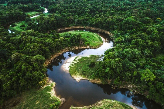 Phú Yên: Phát triển giá trị đa dụng của hệ sinh thái rừng đến năm 2030