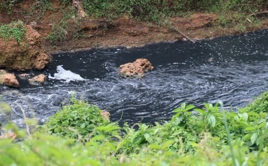 Bình Phước: Đã tìm ra nguyên nhân khiến nước Suối Tân ô nhiễm, bốc mùi hôi thối