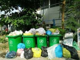 Bình Định: Đổi mới quản lý chất thải rắn sinh hoạt