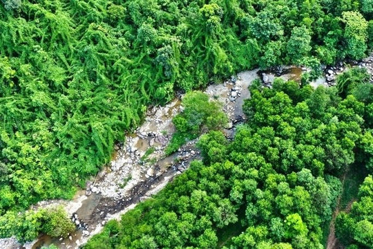Thái Nguyên triển khai xây dựng bản đồ trữ lượng carbon rừng