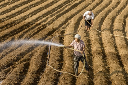 Hạn hán đe dọa sản xuất nông nghiệp ở Trung Quốc