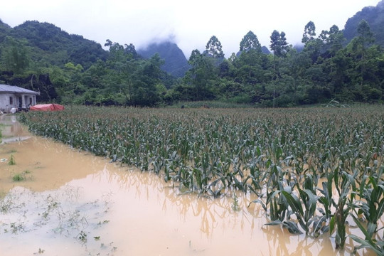 Cao Bằng: Thiên tai gây thiệt hại trên 2,7 tỷ đồng ở huyện Nguyên Bình