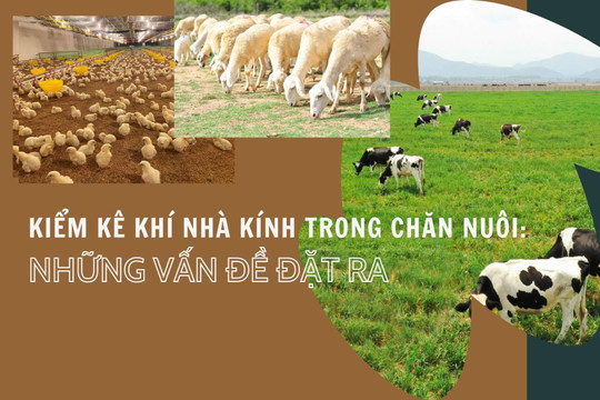 Kiểm kê khí nhà kính trong chăn nuôi tại Việt Nam (Bài 1): Những vấn đề đặt ra
