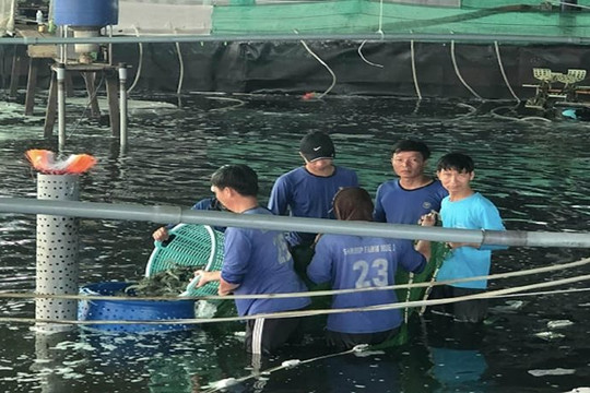 Ngành thủy sản Thừa Thiên - Huế ứng phó thời tiết, môi trường bất lợi