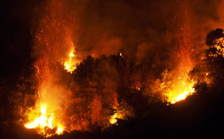 Nghệ An: Cảnh báo nguy cơ xảy ra cháy rừng lớn, tốc độ lan tràn lửa nhanh