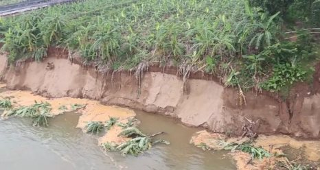 Phú Thọ: Chi gần 15 tỷ đồng khẩn cấp xử lý sự cố sạt lở bờ sông Đà