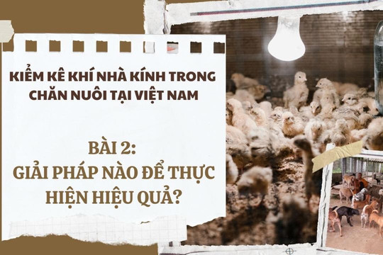 Kiểm kê khí nhà kính trong chăn nuôi tại Việt Nam (Bài 2): Giải pháp nào để thực hiện hiệu quả?