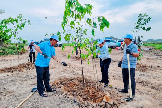 Bình Thuận: Tăng cường trồng cây xanh dọc kênh thủy lợi, các khu đất trống, đồi núi trọc
