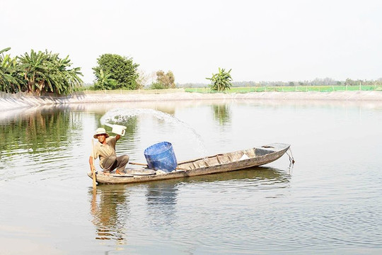 Ninh Bình đặt mục tiêu chấm dứt việc sử dụng hóa chất độc hại trong nuôi trồng thủy sản vào năm 2030