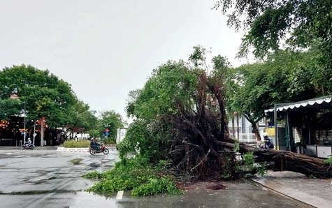 Kiên Giang: Mưa dông làm 34 căn nhà bị sập, tốc mái