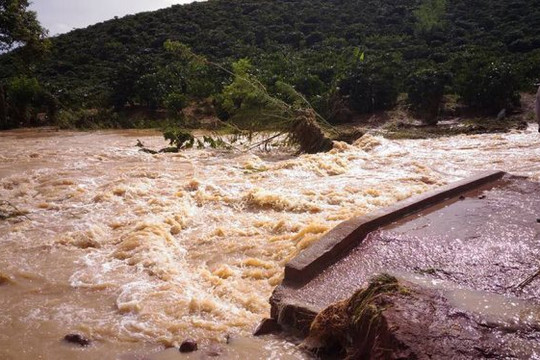Lâm Đồng: Tăng cường thực hiện các biện pháp đảm bảo an toàn trong mùa mưa lũ