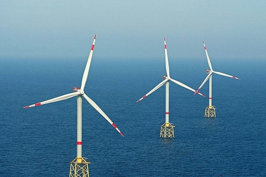 Bộ Công Thương trình Chính phủ 3 phương án chọn nhà đầu tư làm điện gió ngoài khơi