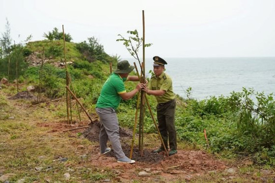 Hơn 4.000 cây xanh được trồng bổ sung tại Vườn Quốc gia Côn Đảo