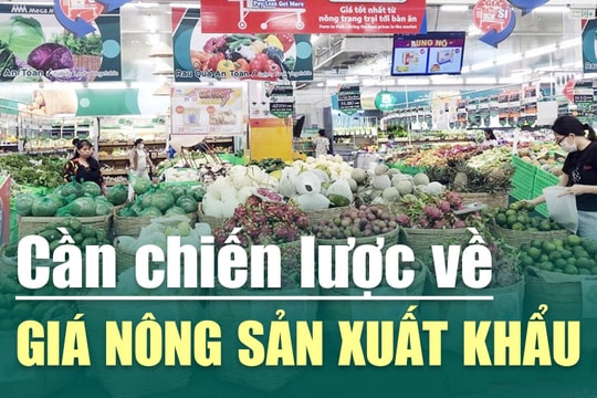 [VIDEO] Cần chiến lược về giá nông sản xuất khẩu