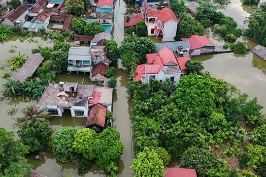 Huyện Thạch Thất thiệt hại 138,3ha diện tích hoa màu do mưa lũ