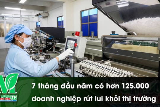 [VIDEO] 7 tháng đầu năm có hơn 125.000 doanh nghiệp rút lui khỏi thị trường