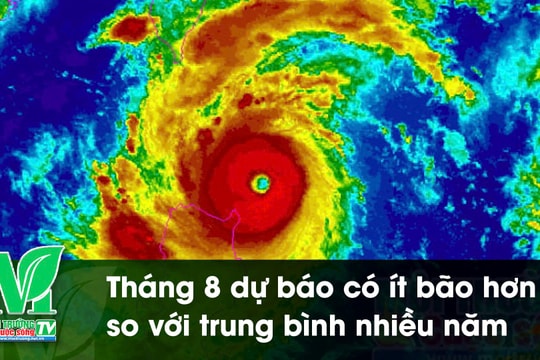 [VIDEO] Tháng 8 dự báo có ít bão hơn so với trung bình nhiều năm