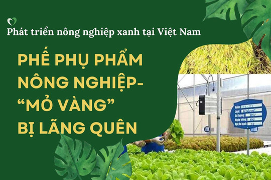 Phát triển nông nghiệp xanh tại Việt Nam - Bài 3: Phế, phụ phẩm nông nghiệp – "Mỏ vàng" bị lãng quên