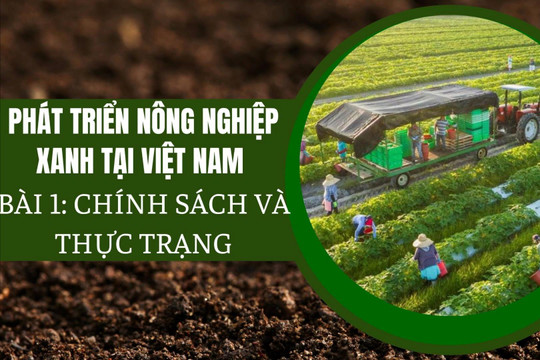 Phát triển nông nghiệp xanh tại Việt Nam - Bài 1: Chính sách và thực trạng