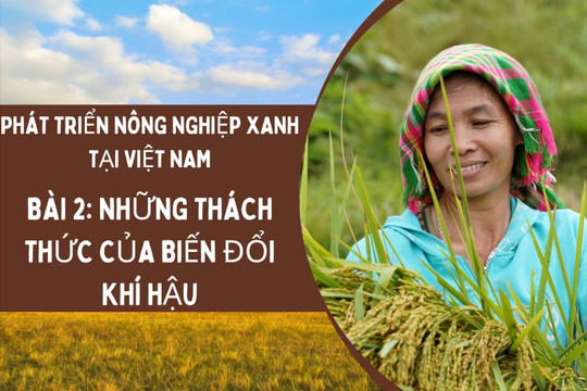 Phát triển nông nghiệp xanh tại Việt Nam - Bài 2: Những thách thức của biến đổi khí hậu