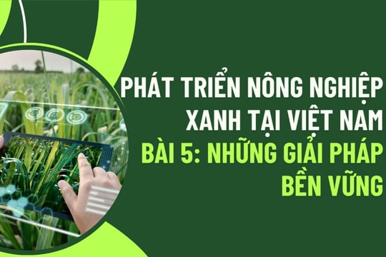 Phát triển nông nghiệp xanh tại Việt Nam - Bài 5: Những giải pháp bền vững