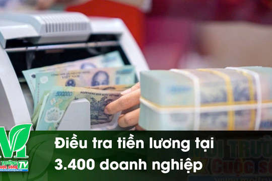 [VIDEO] Điều tra tiền lương tại 3.400 doanh nghiệp