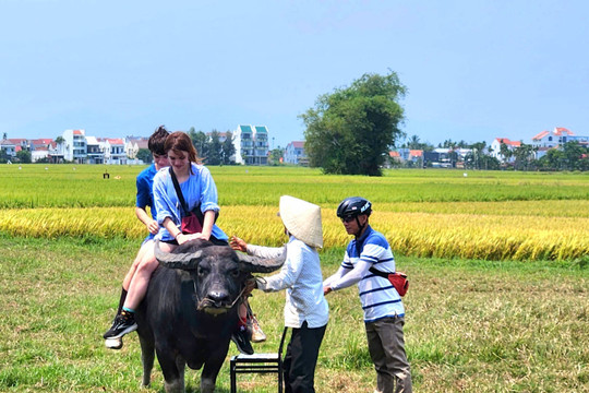 Mô hình điểm du lịch xanh Quảng Nam