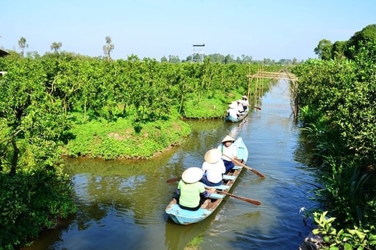 Nhiều kết quả trong thúc đẩy phát triển kinh tế xanh ở Đồng Tháp