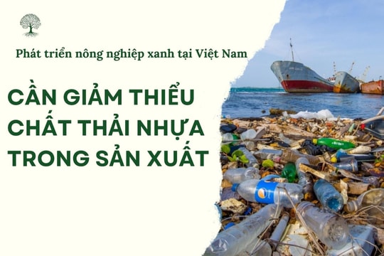 Phát triển nông nghiệp xanh tại Việt Nam - Bài 4: Cần giảm thiểu chất thải nhựa trong sản xuất