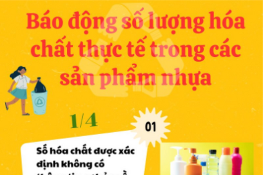 [Infographic] Báo động số lượng hóa chất thực tế trong các sản phẩm nhựa