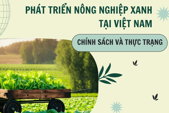 Phát triển nông nghiệp xanh tại Việt Nam Bài 1: Chính sách và thực trạng