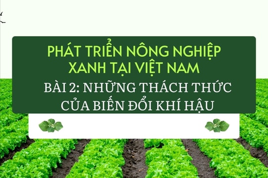 Phát triển nông nghiệp xanh tại Việt Nam Bài 2: Những thách thức của biến đổi khí hậu