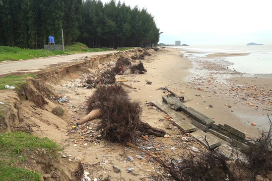 Thanh Hóa sẵn sàng ứng phó với thiên tai