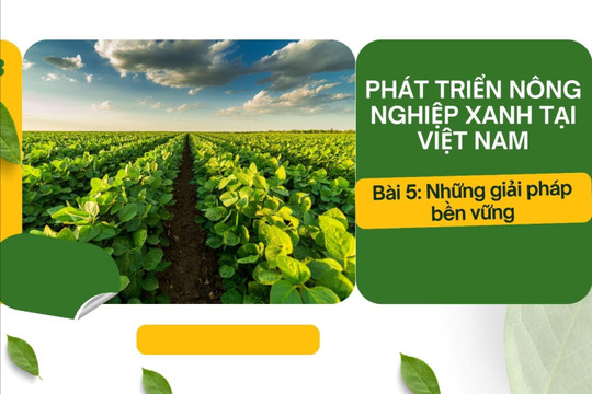 Phát triển nông nghiệp xanh tại Việt Nam Bài 5: Những giải pháp bền vững