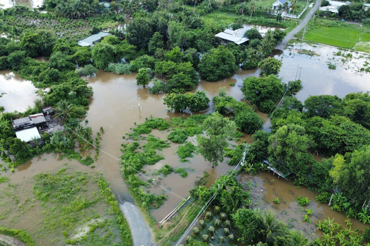 Nhiều vườn thanh long và nhà dân ở Bình Thuận ngập nặng sau mưa lớn