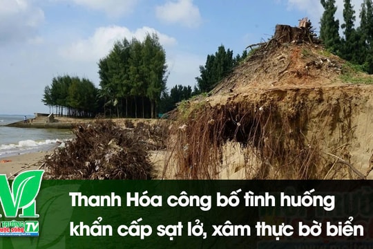 [VIDEO] Thanh Hóa công bố tình huống khẩn cấp sạt lở, xâm thực bờ biển